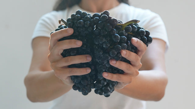 It all starts in the Penedès