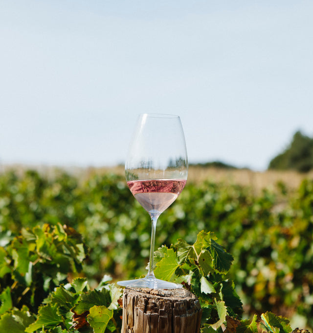 12 bottles of ROSÉ (Organic 2024)