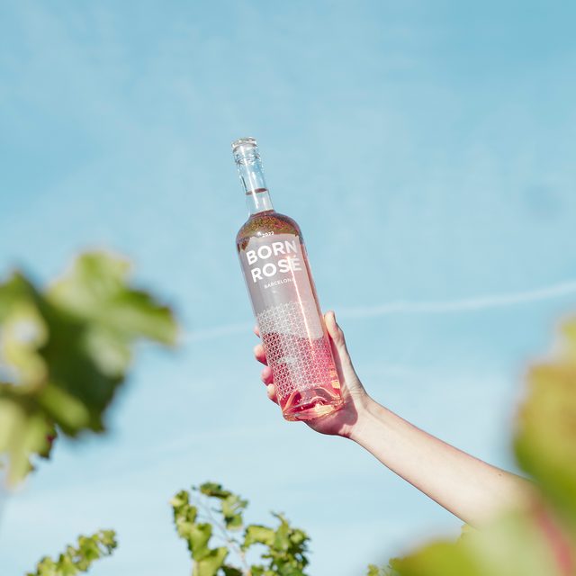 PACK ROSÉ LOVERS: Rosé, Brutal, Latas Rosé con y sin Burbujas, tote bag y tapón (Rosé Orgánico)