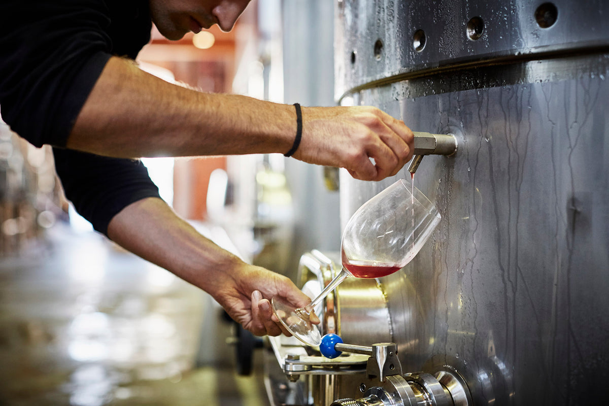 Rose Process The importance of temperature for Rosé wine fermentation | Born Rosé ...