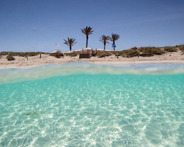 Born Rosé arrives in Ibiza and Formentera
