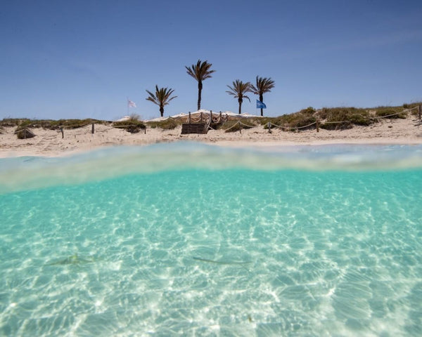 Born Rosé arrives in Ibiza and Formentera