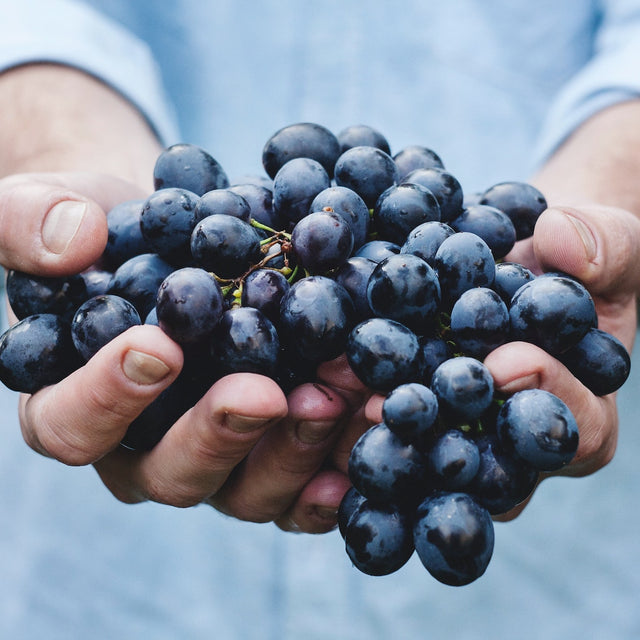 100% Pinot Noir