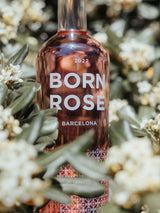 PACK ROSÉ LOVERS: Rosé, Brut, canned Rosé & Bubbles, tote bag & bottle cap (Organic Rosé)